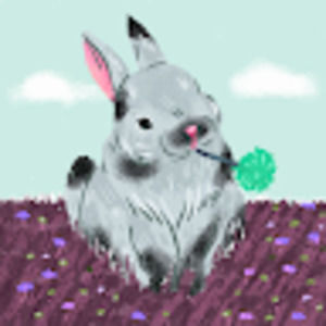 Meet your Posher, Katelyn